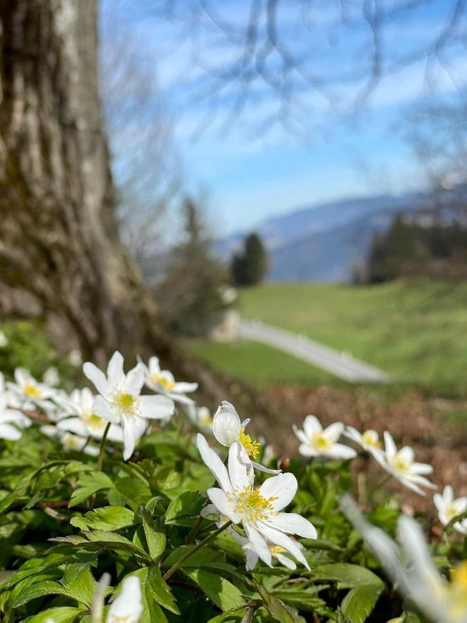 Pension Bilgeri Sulzberg  Bagian luar foto